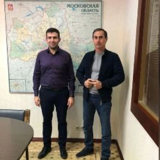Презентация информационных систем Московской области
