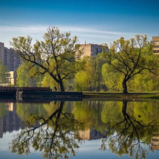 Жители Подмосковья могут получать сведения из государственного водного реестра в режиме онлайн через РПГУ МО